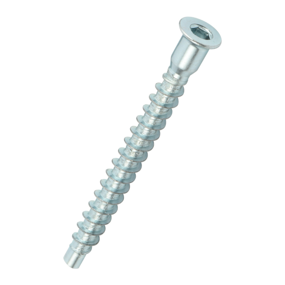 surub-cuplare-pal-energo-1100201-1 Surub cuplare pal cap inecat D-5.0mm L-50mm SW3 zincat alb ENERGO - imagine 1