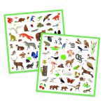Abtibilduri Fauna Europei, Djeco - imagine 3