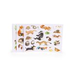 Abtibilduri Gradina, Moulin Roty - imagine 3
