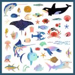 Abtibilduri metalice Ocean, Djeco - imagine 3