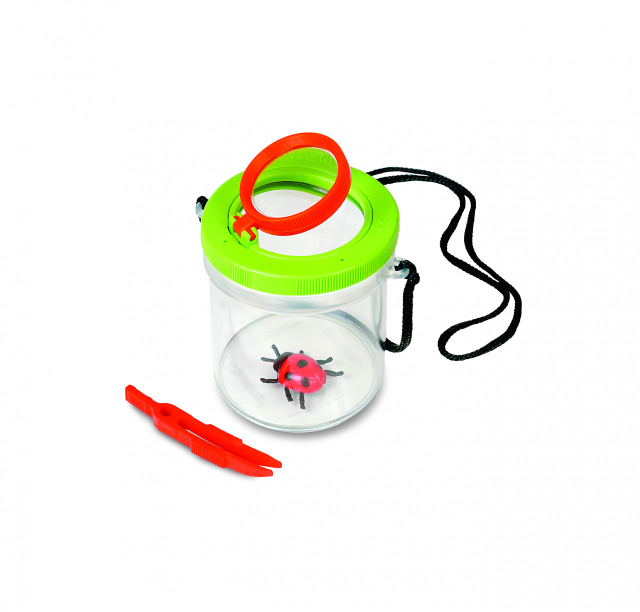 cutie-cu-lupa-pentru-observarea-insectelor-navir10357 Cutie cu lupa pentru observarea insectelor, Navir - imagine 1