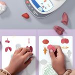 Joc STEM Anatomia umana, TopBright - imagine 3