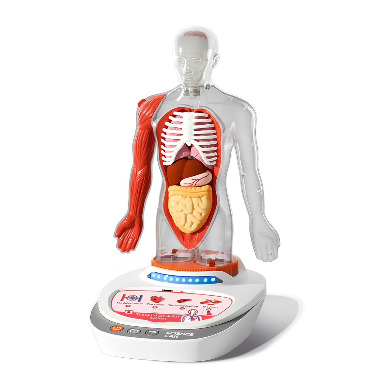 joc-stem-anatomia-umana-topbright100075018 Joc STEM Anatomia umana, TopBright - imagine 1