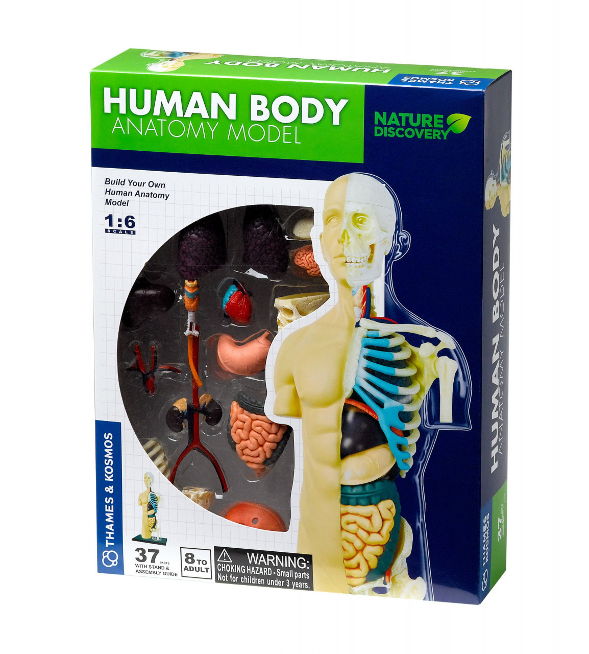 kit-stem-anatomia-corpului-uman-thames-kosmos10097 Kit STEM Anatomia corpului uman, Thames & Kosmos - imagine 1