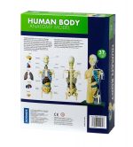 Kit STEM Anatomia corpului uman, Thames & Kosmos - imagine 4