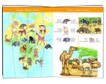 Puzzle observatie Animalele lumii, Djeco - imagine 2