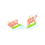 Set creativ de stickere reutilizabile Ferma, Djeco - imagine 4
