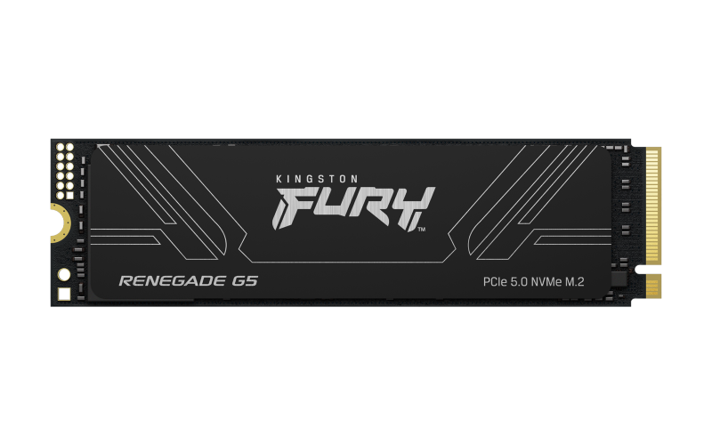 42ca6ed3f17b83dd38122fdc2d82404f.png SSD intern Kingston FURY Renegade G5, 4 TB, PCI Express - imagine 1