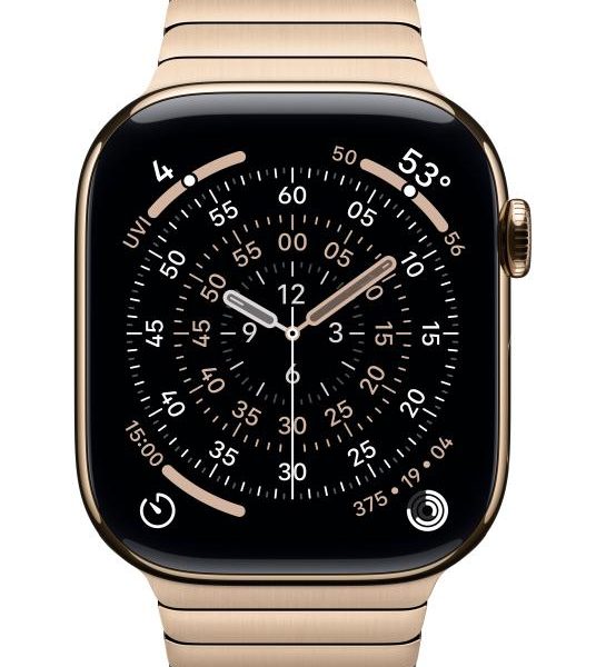 Apple Watch 46mm Gold Link Bracelet