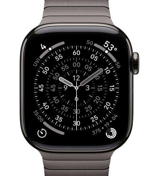Apple Watch 42mm Link Bracelet: Slate Link Bracelet