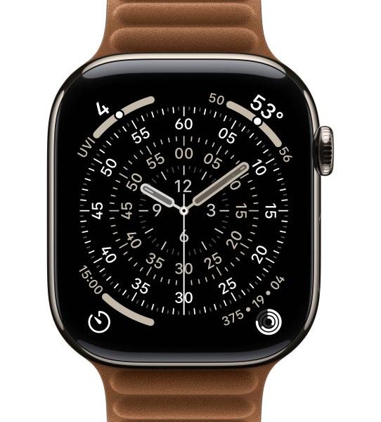Apple Watch 46mm Caramel Magnetic Link - M/L