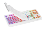 Tastatura gaming mecanica wireless Genesis Thor 230 TKL, iluminare RGB, - imagine 10