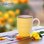 CANA CERAMICA 350 ML, SARA - imagine 2