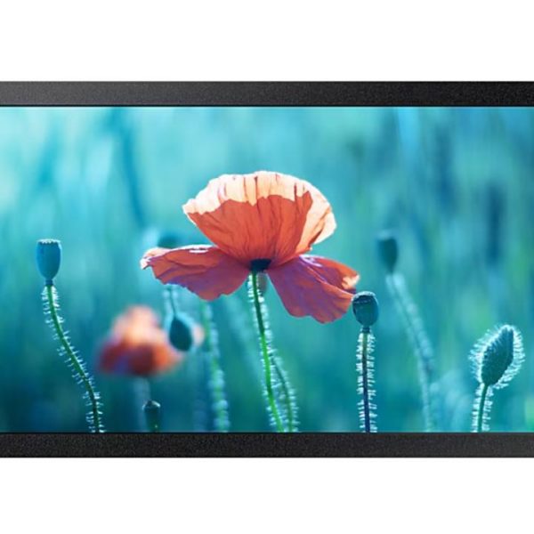 Monitor signage SAMSUNG QB13R, 13", 300nit, 16/7, FHD, E-LED, 8ms,