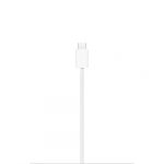 Apple MagSafe Charger (1 m)