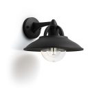 Aplica tip felinar pentru exterior Philips Cormorant, 1xE27, max 42W