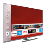 QLED+ TV HORIZON 4K-SMART 65HQ9730U/B, 65" D-LED, 4K Ultra HD - imagine 7