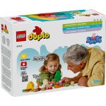 EXCURSIE CU CORTUL, LEGO 10452 - imagine 3