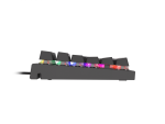 Tastatura Mecanica Gaming Genesis Thor 303, RGB, USB, negru - imagine 5
