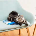 PETKIT Cooling Cat Pad - imagine 4