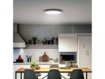 Plafoniera LED Philips Hue Aurelle, Bluetooth, 21W, 2450 lm, luminaalba(2200-6500K), - imagine 3