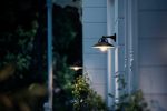 Aplica tip felinar pentru exterior Philips Cormorant, 1xE27, max 42W - imagine 3