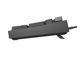 Tastatura Mecanica Gaming Genesis Thor 404, RGB, USB, negru - imagine 4