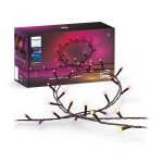 Ghirlanda inteligenta LED RGB Philips Hue Festavia, 250 LED-uri ,
