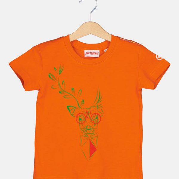 TRICOU  CERB FAMILIE COPII ORANGE-8