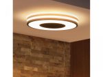 Plafoniera LED Philips Hue Being, Bluetooth, 22.5W (204W), 2500 lm - imagine 2