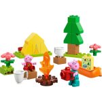 EXCURSIE CU CORTUL, LEGO 10452 - imagine 6