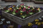 Ghirlanda LED RGB pentru exterior cu spike Ledvance SMART+ Wifi - imagine 5