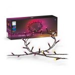 Ghirlanda inteligenta LED RGB Philips Hue Festavia, 500 LED-uri ,