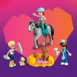 CLINICA VETERINARA PENTRU CAI SI ANIMALE DE COMPANIE, LEGO 42651 - imagine 9