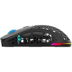 Mouse AQIRYS T.G.A, wireless, 6 butoane, interfata USB 2.0 - imagine 2
