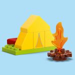 EXCURSIE CU CORTUL, LEGO 10452 - imagine 4