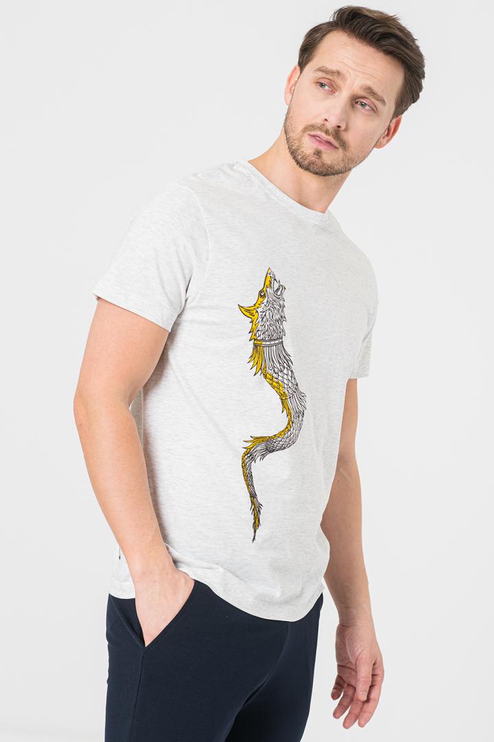 overlay_bf5e4559a560a8d233a9bee384d2f44e.jpg TRICOU CASUAL DRACON BARBATI LIGHT GRAY-XXL - imagine 1