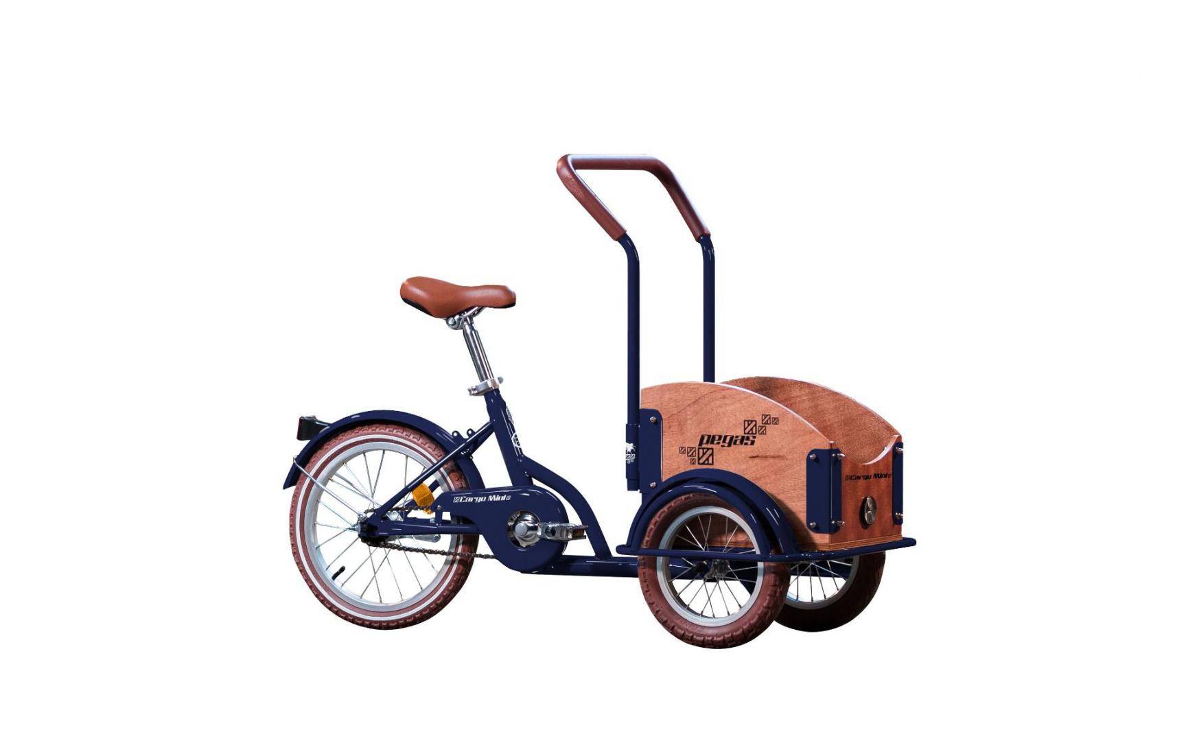 overlay_c0f8639ed36da0bba1a5573f290bdb61.jpg PEGAS MINI CARGO 1S ALBASTRU CALATOR - imagine 1