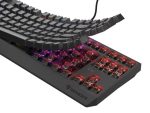 Tastatura Mecanica Gaming Genesis Thor 230 TKL, RGB, USB, negru - imagine 7