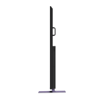Televizor METZ QLED 100MQE8500, 254 cm, Smart Google TV, 4K - imagine 4