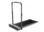 Kingsmith Treadmill TRR1FPro (Silver)
