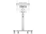Stand podea mobil Neomounts 37"-75", VESA 100x100~600x400, 70kg, fix, inaltime - imagine 8