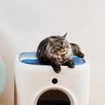 PETKIT Cooling Cat Pad - imagine 2