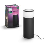Stalp LED RGB extensie pentru iluminat exterior Philips Hue Calla,